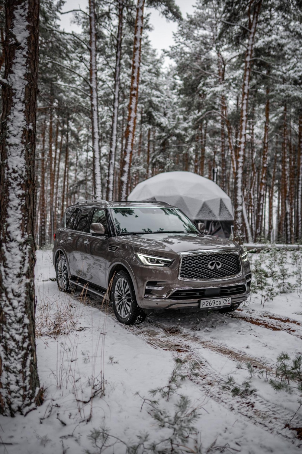 wviucadk_5fe07146e3a2a_infiniti-qx80_foto2.jpg