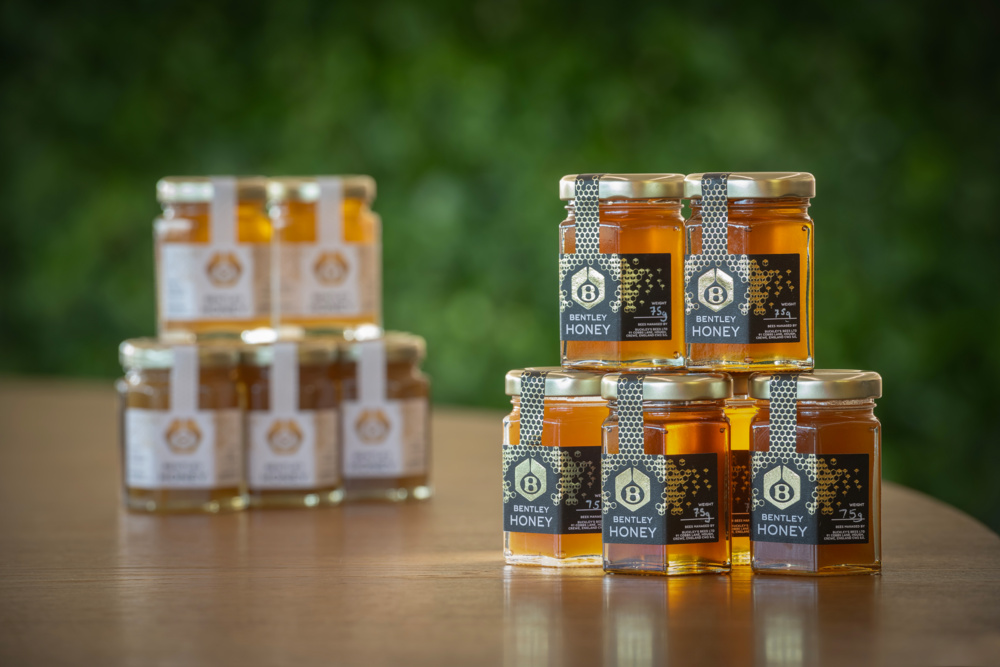 Bentley's Extraordinary Bees - 5 year honey edition - 5