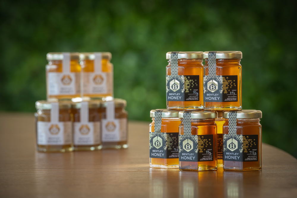 Bentley's Extraordinary Bees - 5 year honey edition - 5