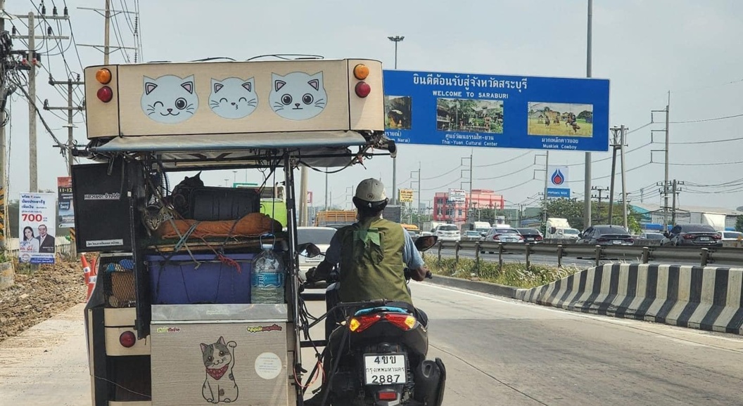 &laquo;Без кота и жизнь не та&raquo;: таец купил специальную мотоколяску для своих 11 кошек