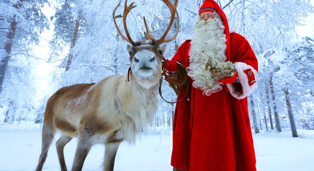 So Many Reindeer: что мы знаем о знаменитых оленях Санты