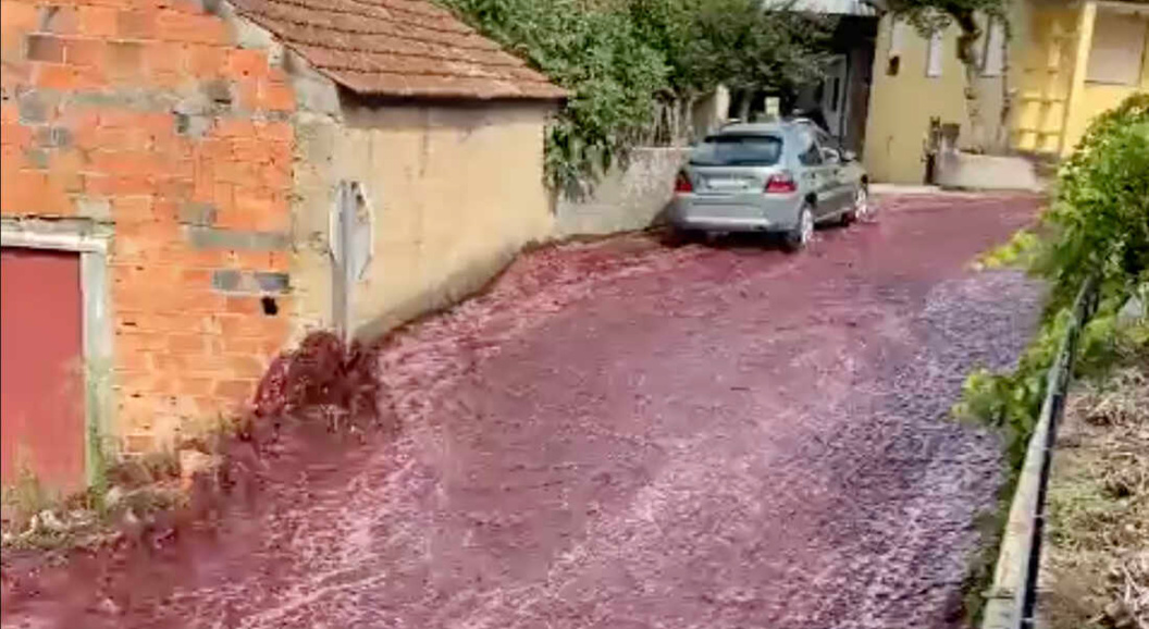 Улицы в португальской Анадии затопило красным вином