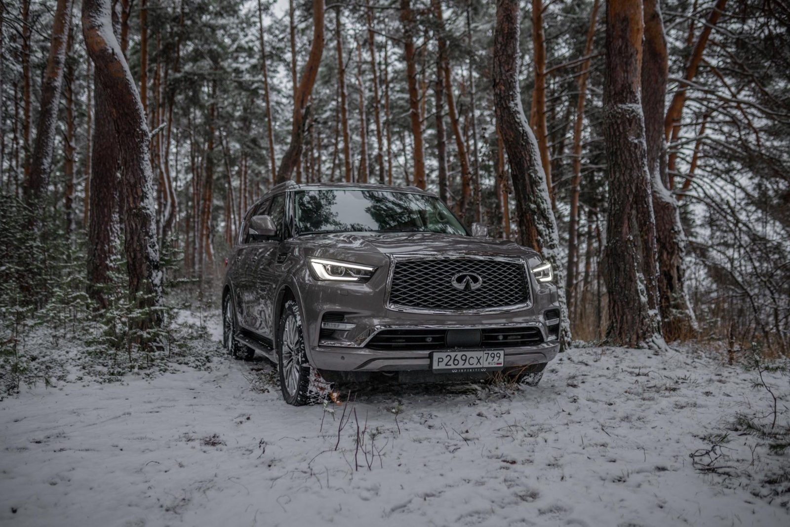 fbyiujse_5fe0714e420b0_infiniti-qx80_foto13.jpg