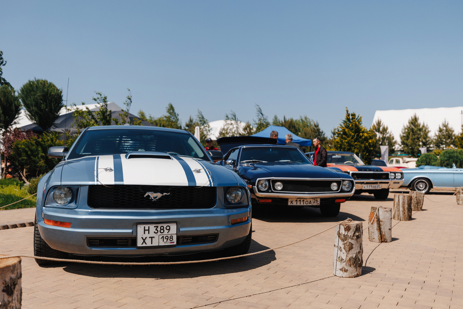 max_lepihin05042024_0019 max_lepihin05042024_0019