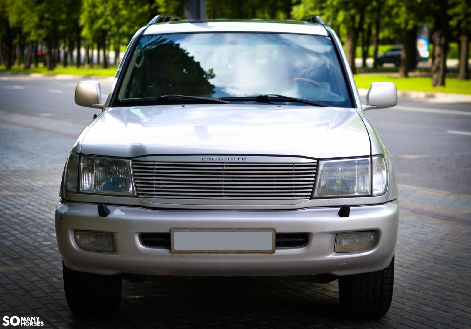 pvxwsmyt_5c643223bafed_dsc_0001.jpg