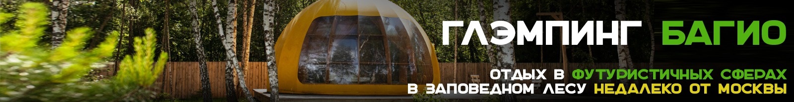 WhatsApp Image 2023-08-11 at 09.29.32