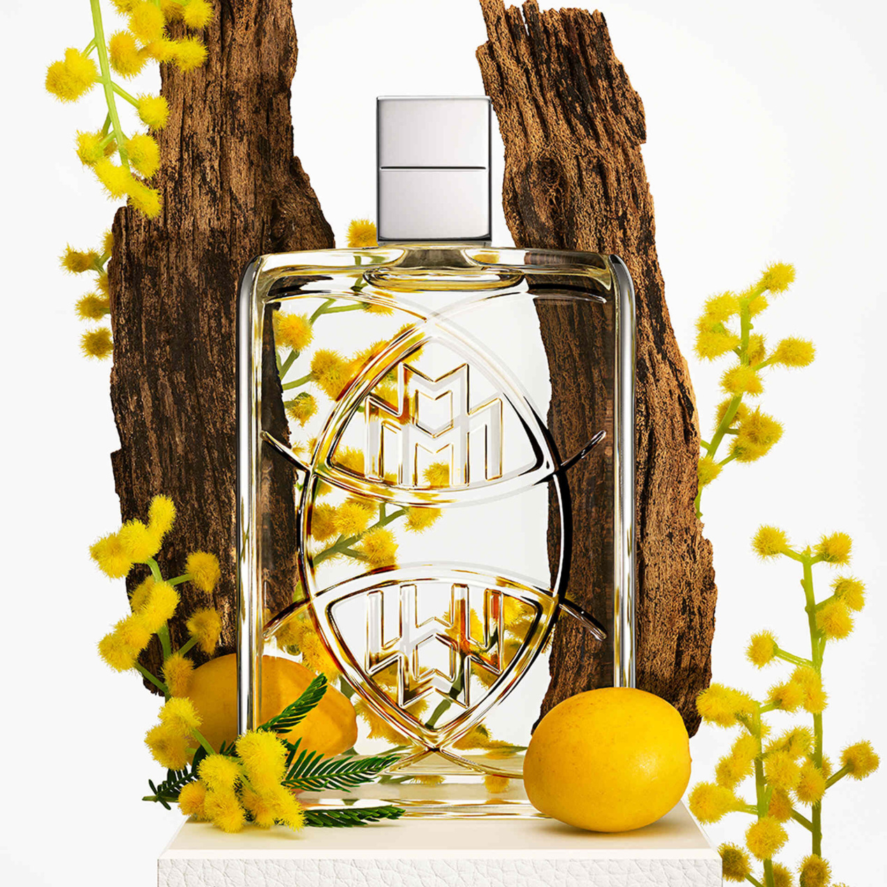 MMAPMay103FaO100_1920x1920 MMAPMay103FaO100_1920x1920